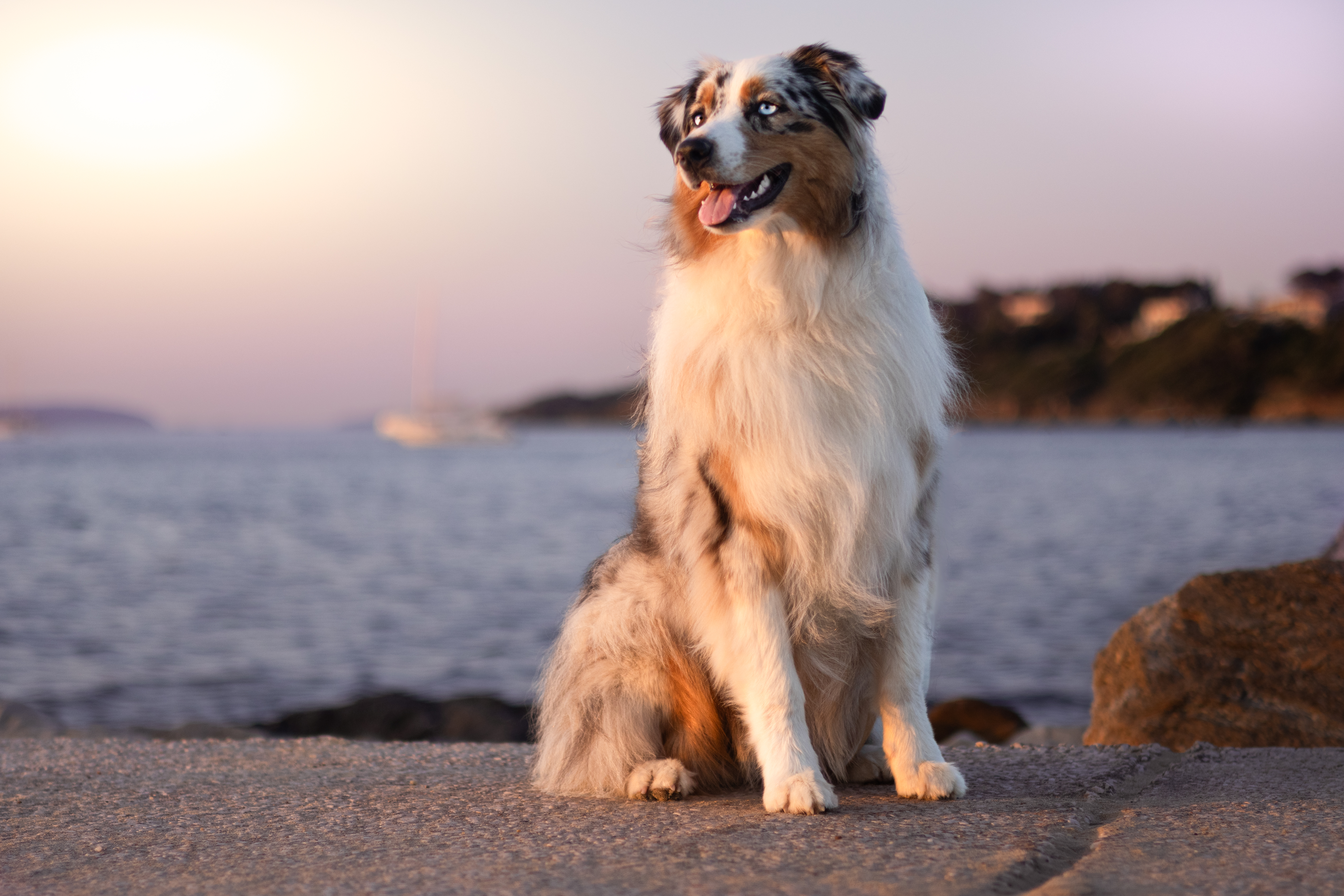Taïga face aux vagues d'une couleur rosée